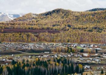 Spotify Carbon Credits Purchase Linked to Forced Labor Camps