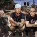 Blink-182 Fans Lash Out At Sky-High Ticket Presale Prices