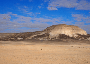 Israeli Festival Attacked by Hamas Issues First Public Statement