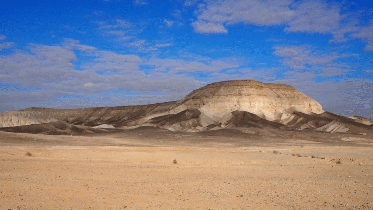 Israeli Festival Attacked by Hamas Issues First Public Statement